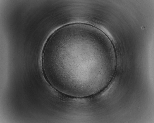 X0000094460996200711081321