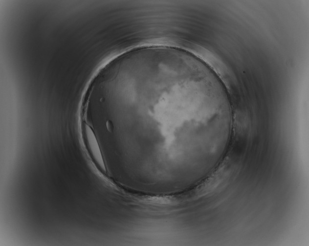 X0000094460998200711081321