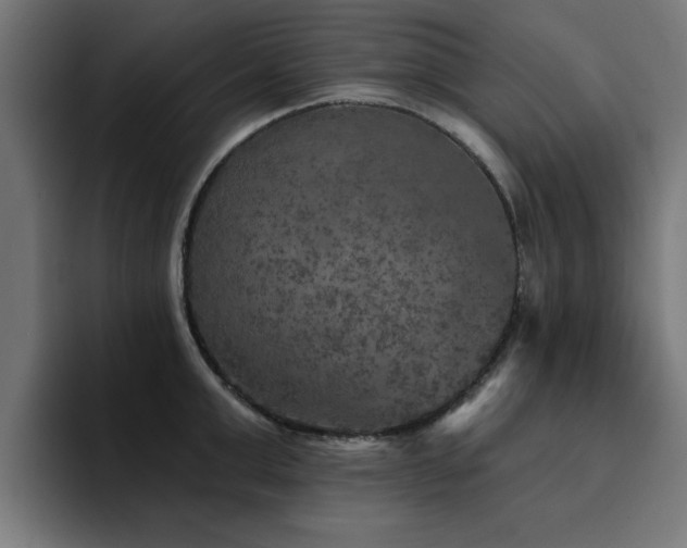 X0000094460999200711081321