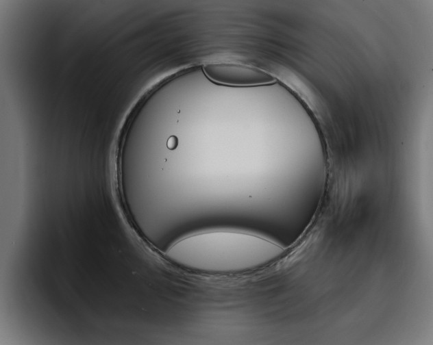X0000094461000200711081321