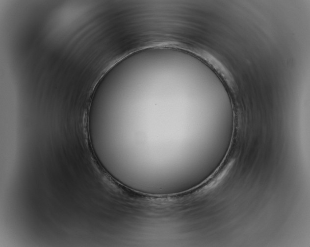 X0000094461001200711081321
