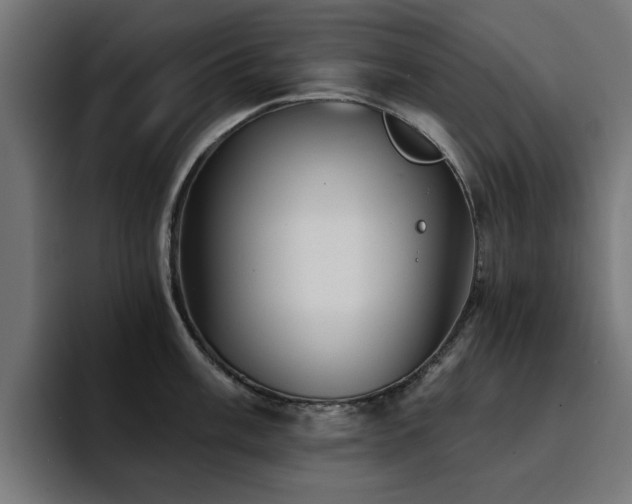 X0000094461003200711081321