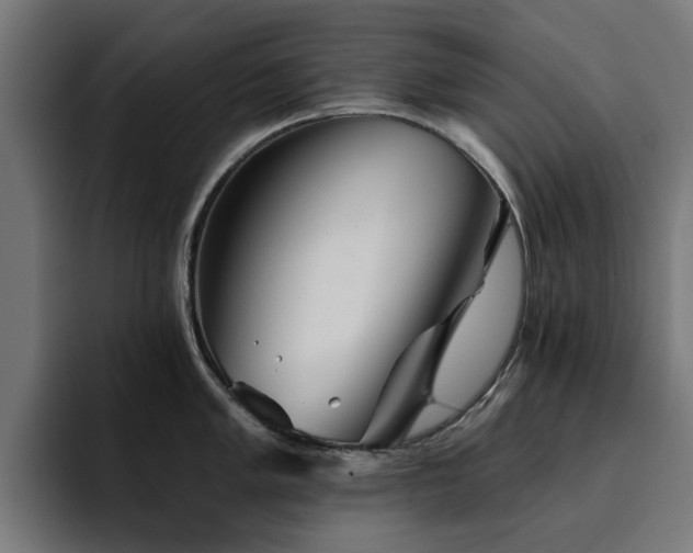 X0000094461005200711081321