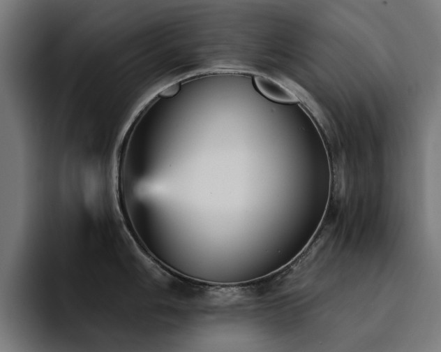 X0000094461006200711081321