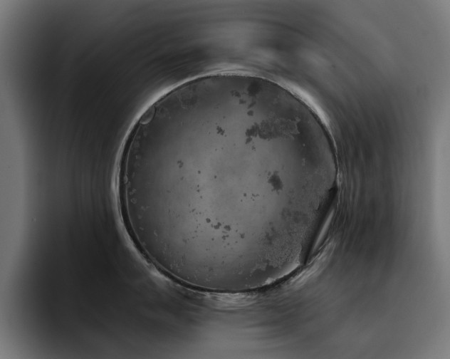 X0000094461007200711081321