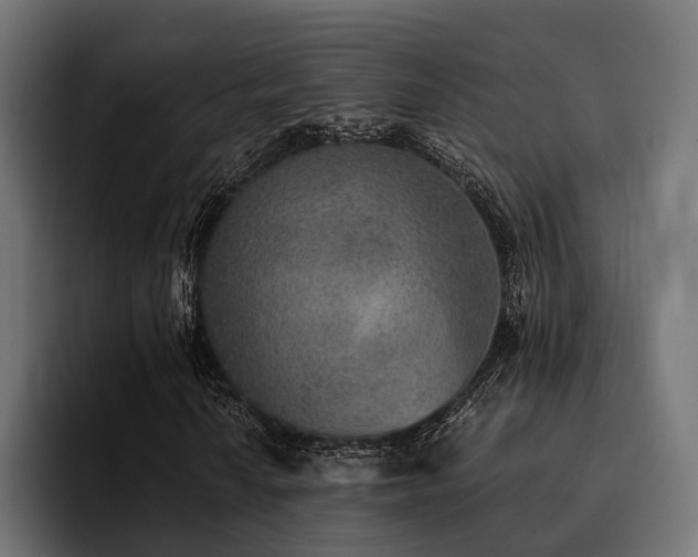 X0000094461010200711081321