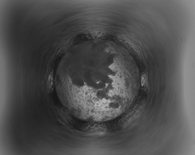 X0000094461011200711081321