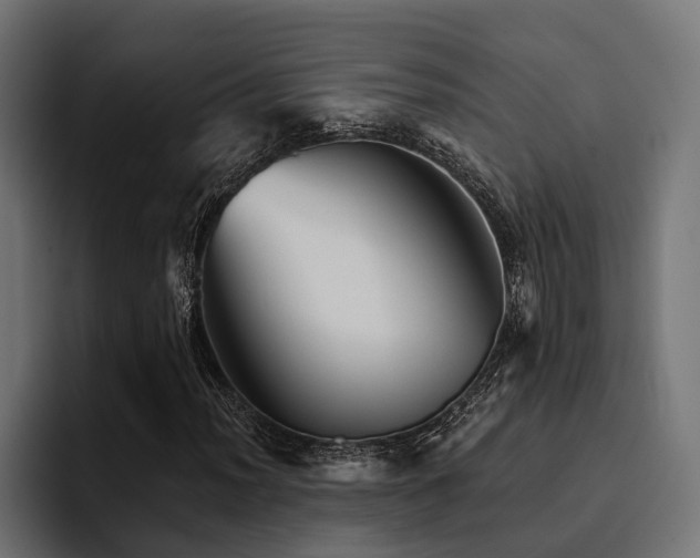 X0000094461012200711081321