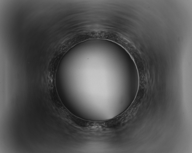 X0000094461013200711081321