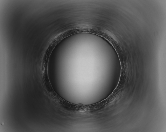 X0000094461016200711081321