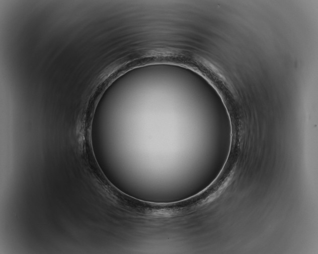 X0000094461017200711081321