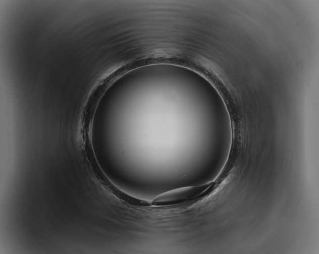 X0000094461018200711081321