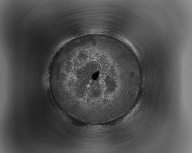 X0000094461019200711081321