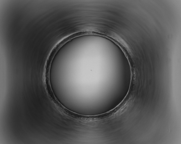 X0000094461020200711081321