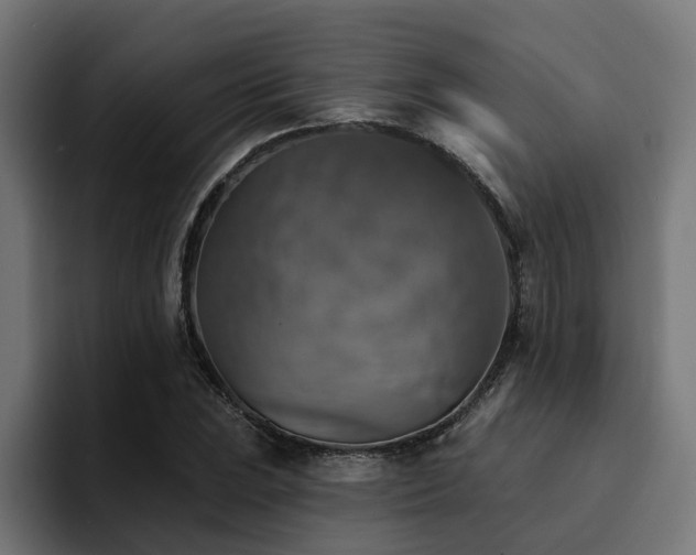 X0000094461023200711081321
