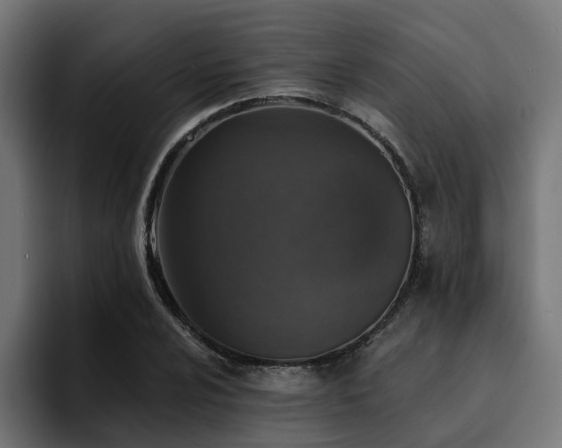 X0000094461024200711081321