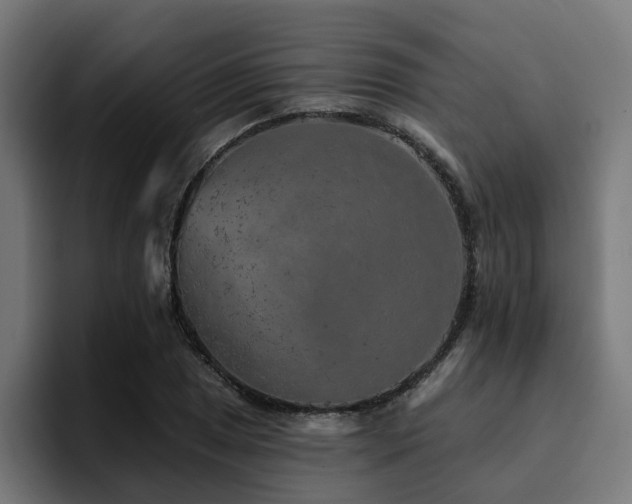 X0000094461025200711081321