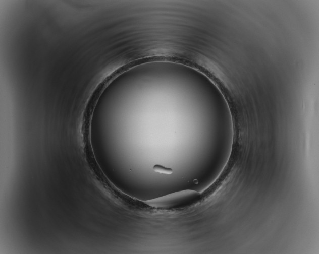 X0000094461026200711081321