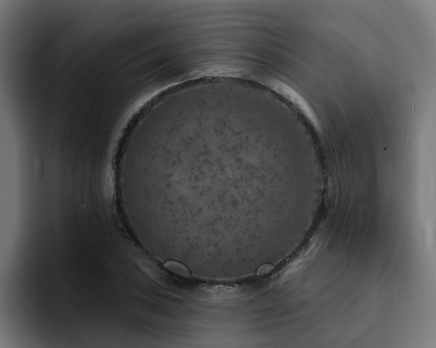 X0000094461027200711081321
