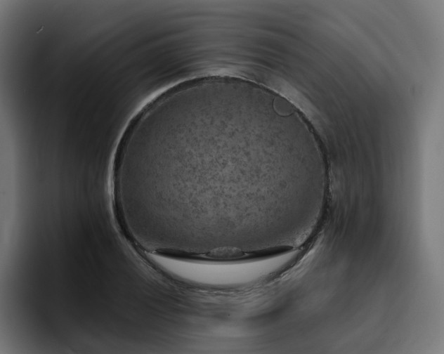 X0000094461028200711081321