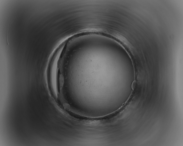 X0000094461030200711081321