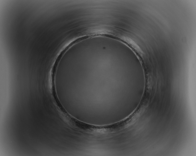 X0000094461031200711081321