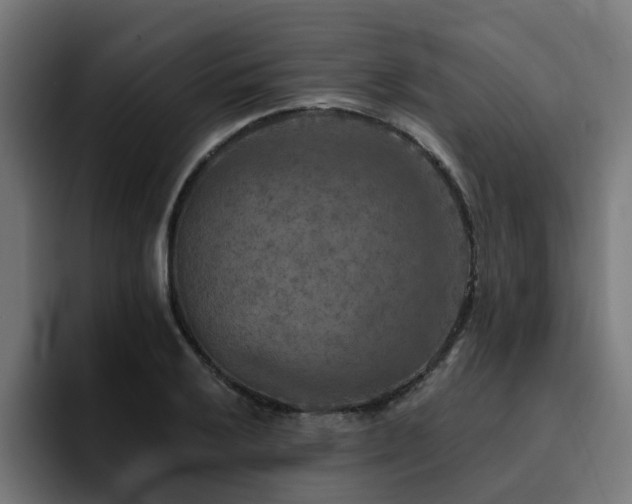 X0000094461032200711081321