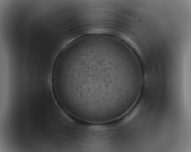 X0000094461033200711081321