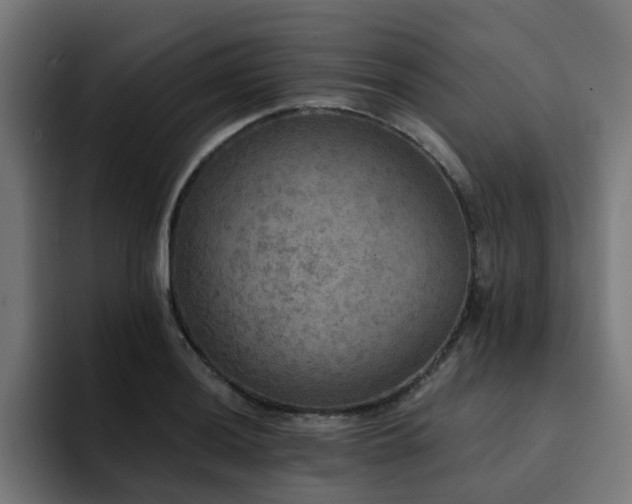 X0000094461036200711081321