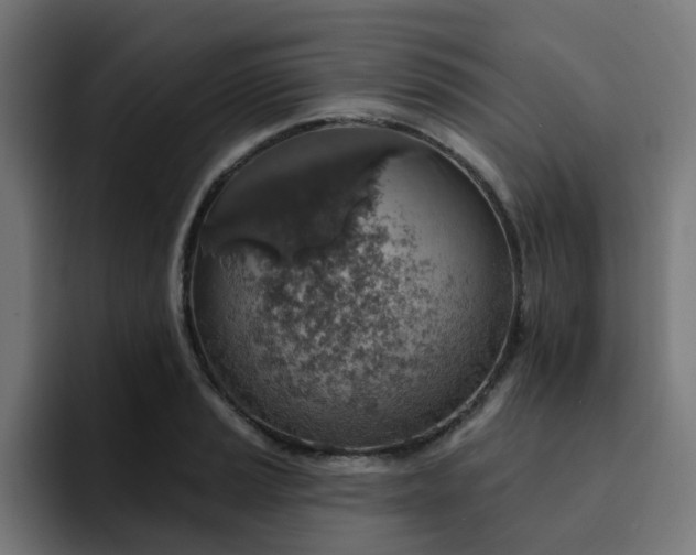 X0000094461037200711081321