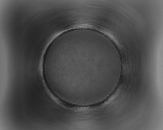 X0000094461038200711081321
