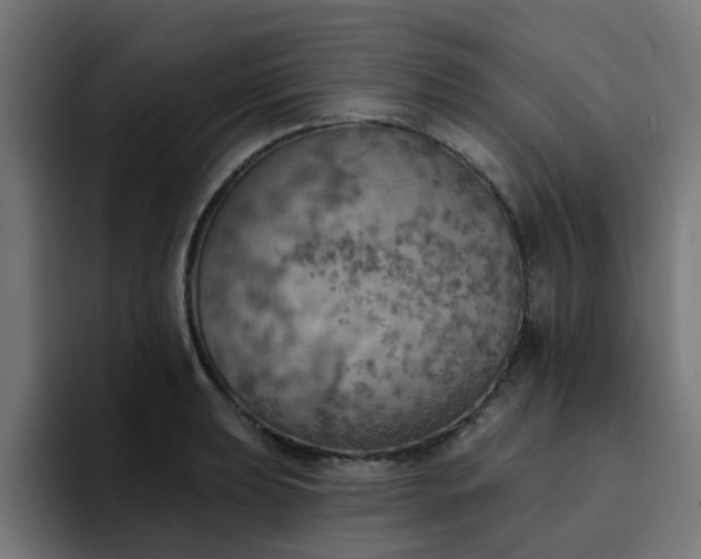 X0000094461039200711081321