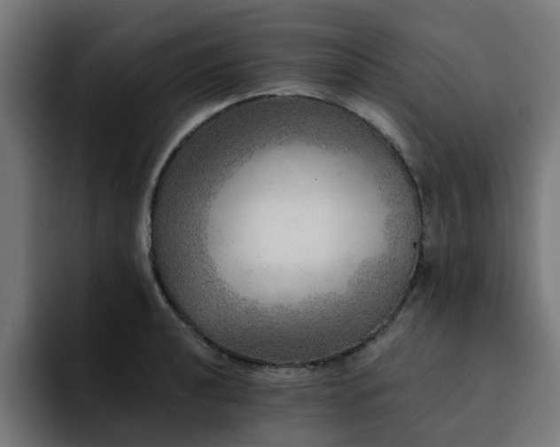 X0000094461040200711081321