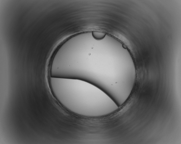 X0000094461043200711081321