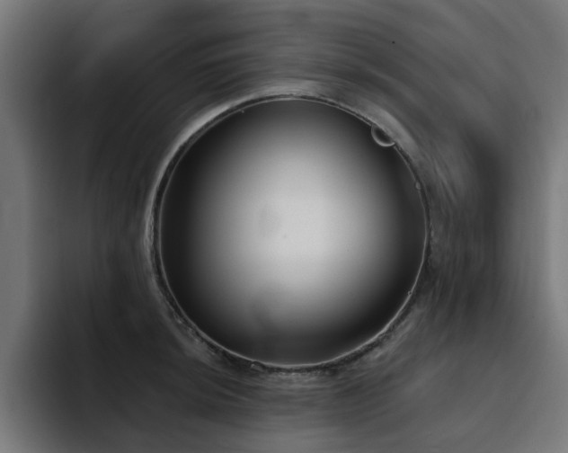 X0000094461044200711081321