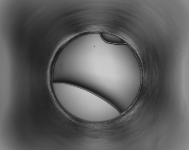 X0000094461045200711081321