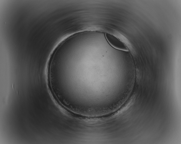 X0000094461046200711081321