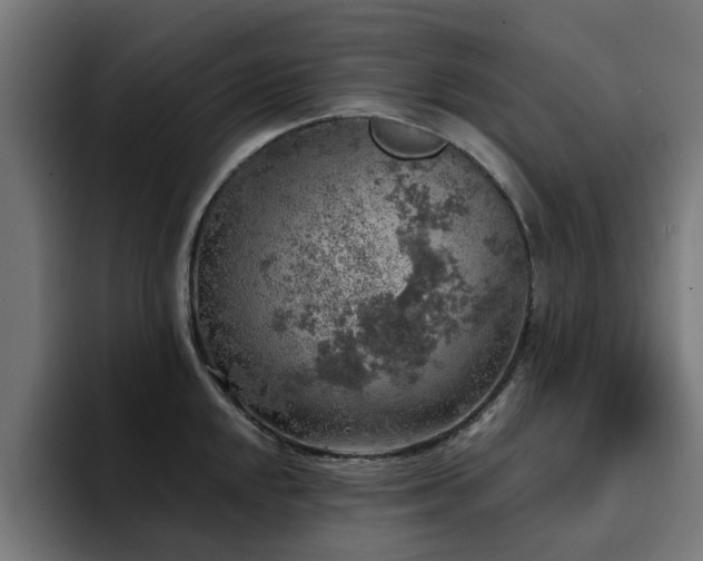 X0000094461048200711081321