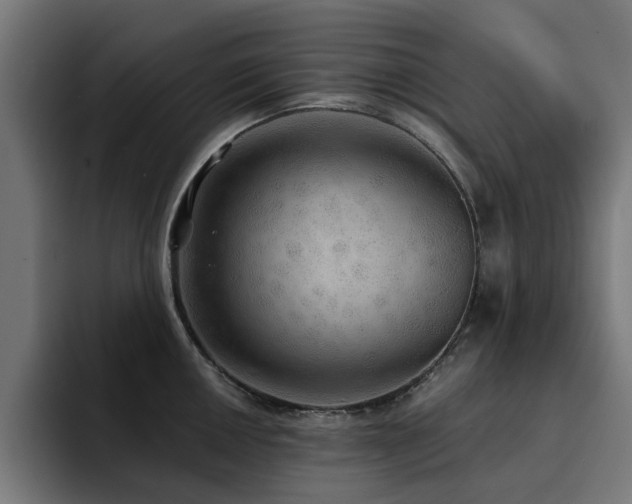 X0000094461050200711081321