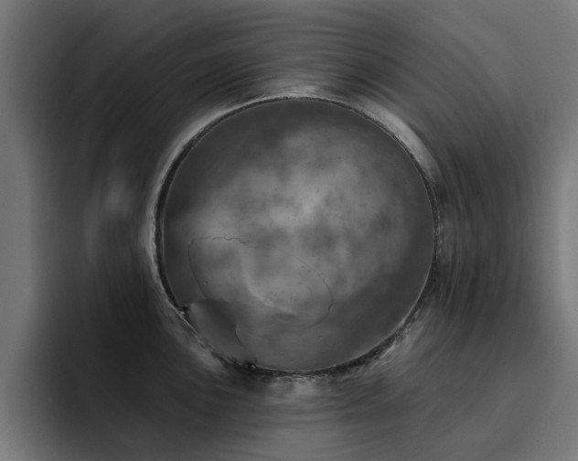 X0000094461051200711081321