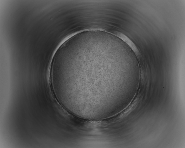 X0000094461052200711081321