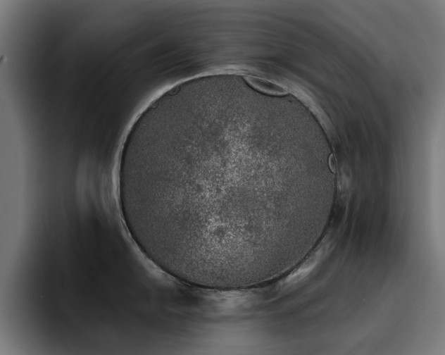 X0000094461054200711081321