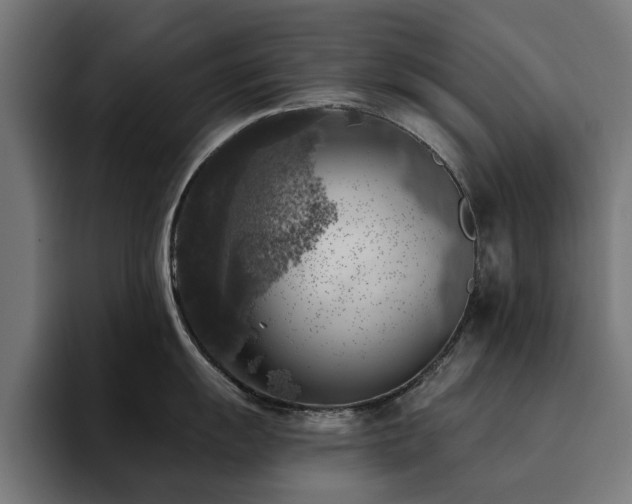 X0000094461055200711081321