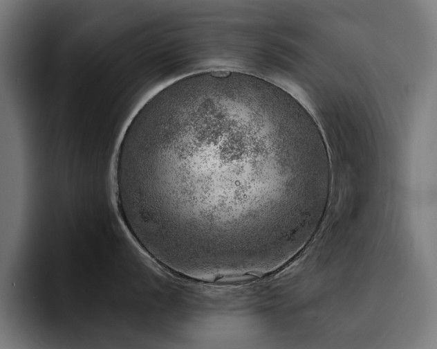 X0000094461056200711081321