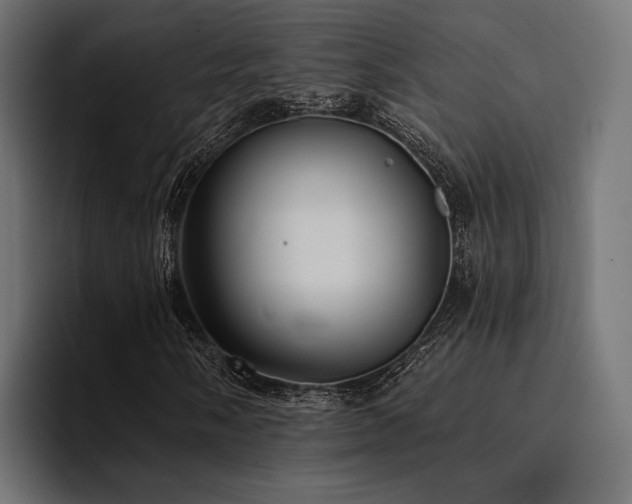 X0000094461058200711081321