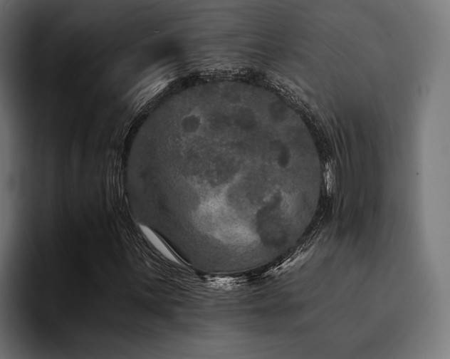 X0000094461059200711081321