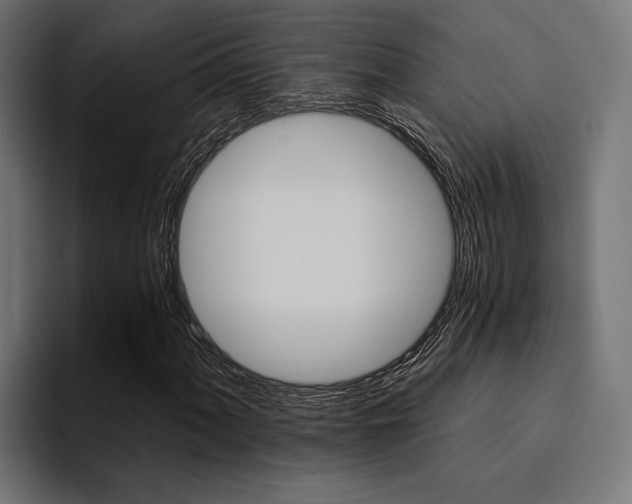 X0000094461060200711081321