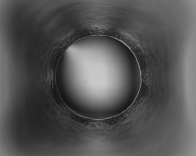 X0000094461061200711081321