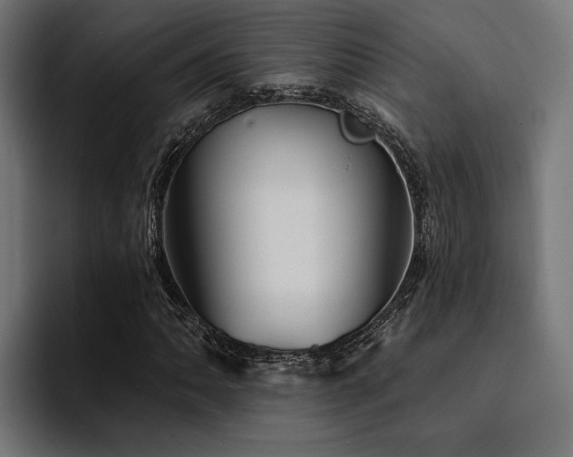 X0000094461062200711081321