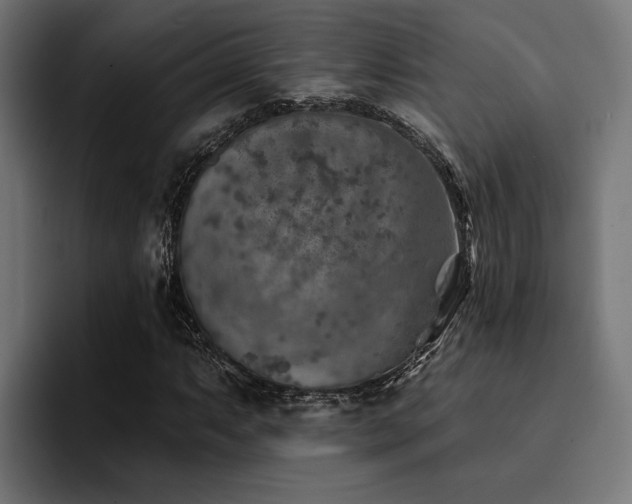 X0000094461063200711081321